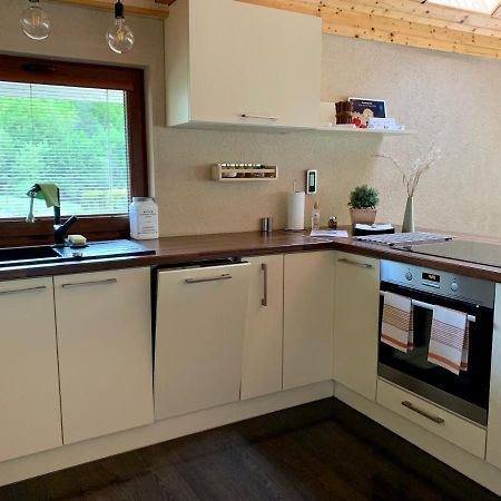 Grand Spa Holiday Home Sklené Teplice Zewnętrze zdjęcie