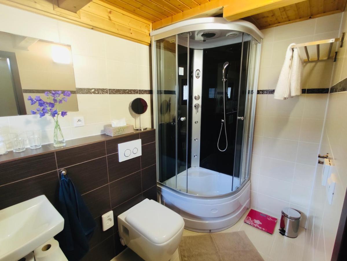 Grand Spa Holiday Home Sklené Teplice Zewnętrze zdjęcie
