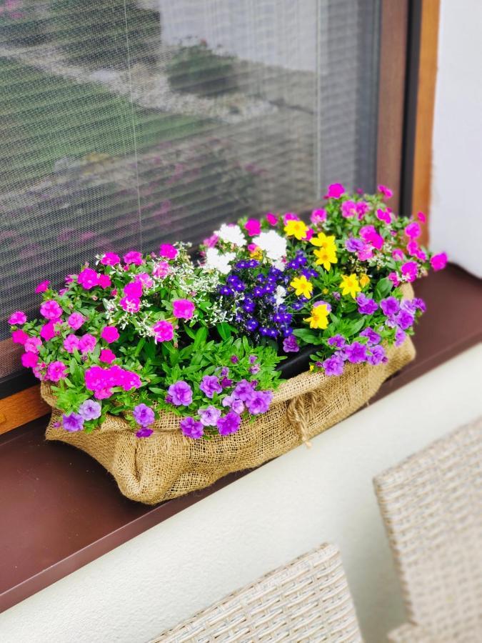 Grand Spa Holiday Home Sklené Teplice Zewnętrze zdjęcie
