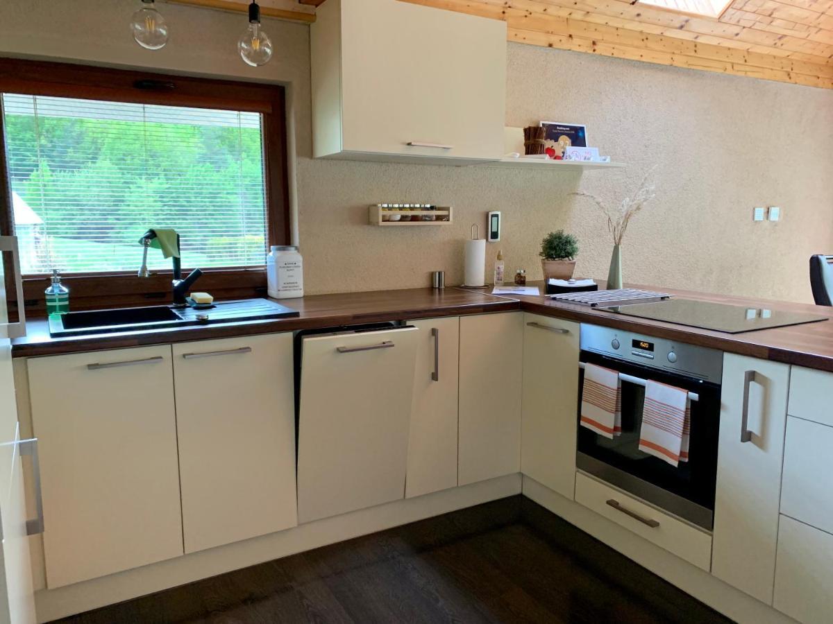 Grand Spa Holiday Home Sklené Teplice Zewnętrze zdjęcie