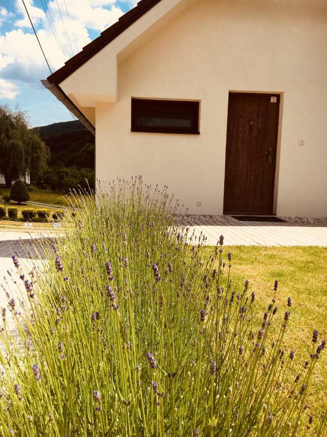 Grand Spa Holiday Home Sklené Teplice Zewnętrze zdjęcie