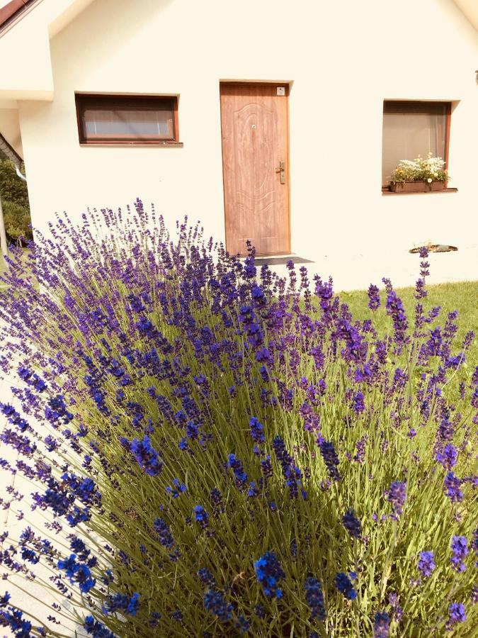 Grand Spa Holiday Home Sklené Teplice Zewnętrze zdjęcie
